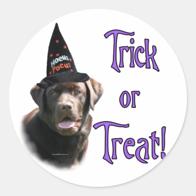 Chocolate Lab Trick Sticker (Front)