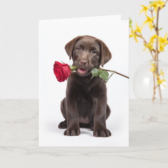 Chocolate Lab Valentine Card (Yellow Flower)