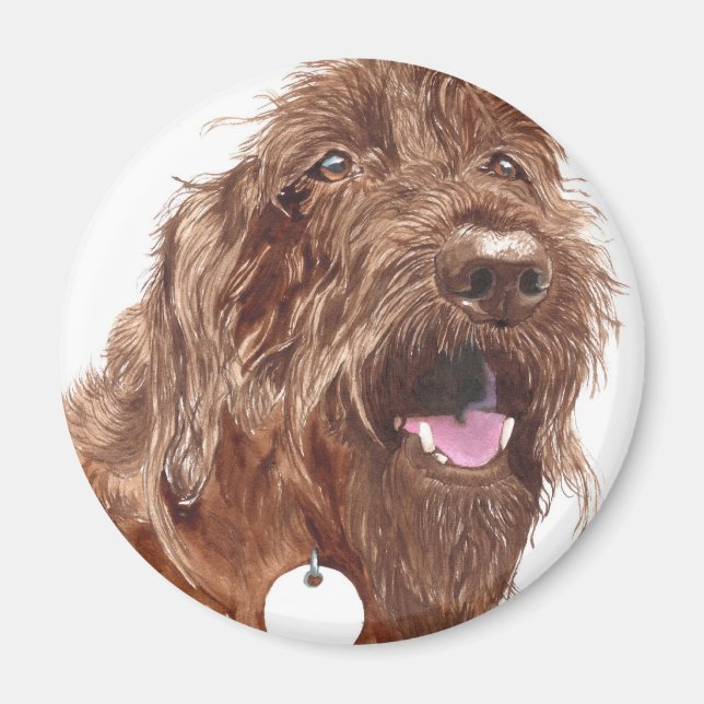 Chocolate Labradoodle #1 Magnet (Front)