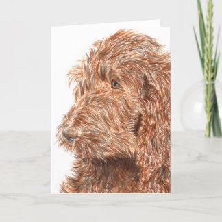 Chocolate Labradoodle #2 Greeting Card