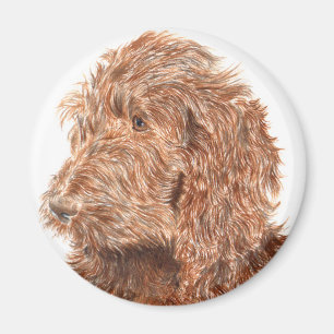 Chocolate Labradoodle #2 Magnet