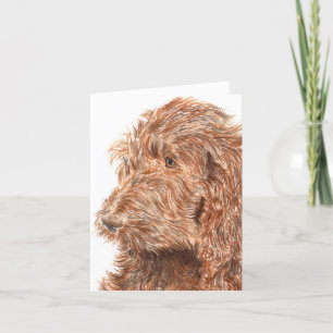 Chocolate Labradoodle #2 Notecard