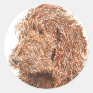 Chocolate Labradoodle #2 Round Stickers