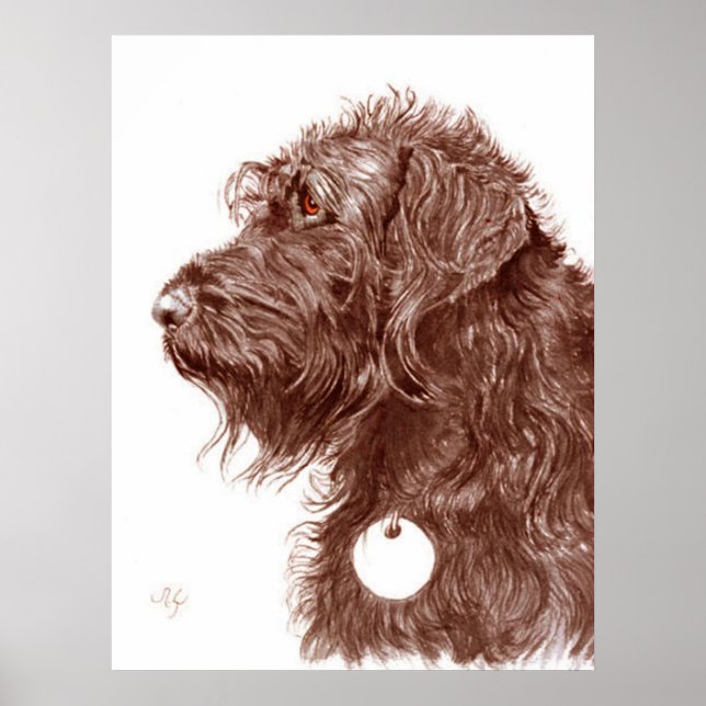 Chocolate Labradoodle Print (Front)