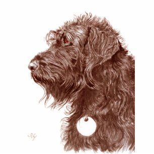 Chocolate Labradoodle Sculpture Standing Photo Sculpture