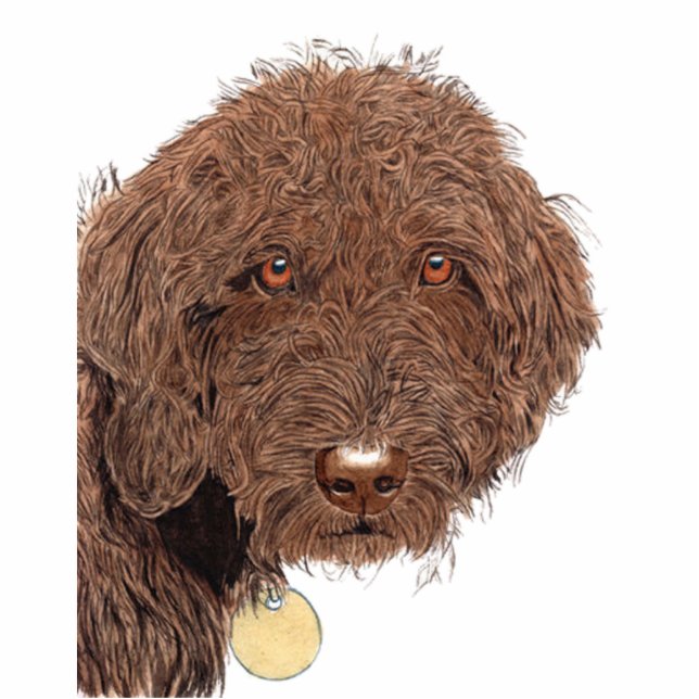 Chocolate Labradoodle Sculpture Standing Photo Sculpture (Front)