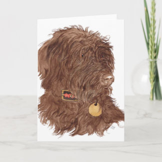 Chocolate Labradoodle Xena Greeting Cards
