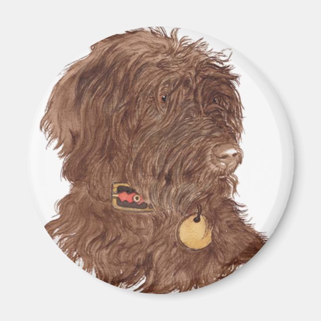 Chocolate Labradoodle Xena Magnet (Front)