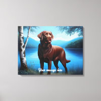 Chocolate Labrador and Blue Lake