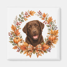 Chocolate Labrador Autumn