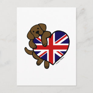 Chocolate Labrador British Heart Postcard