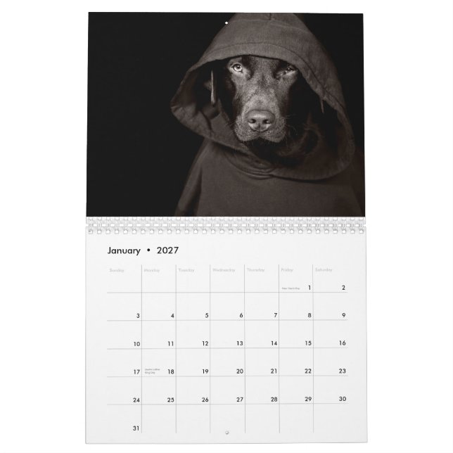Chocolate Labrador Calendar 2010 (Jan 2027)