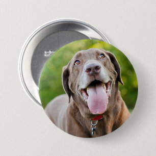 Chocolate Labrador Dog 7.5 Cm Round Badge