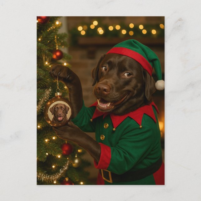 Chocolate  Labrador Dog Christmas Holiday postcard (Front)