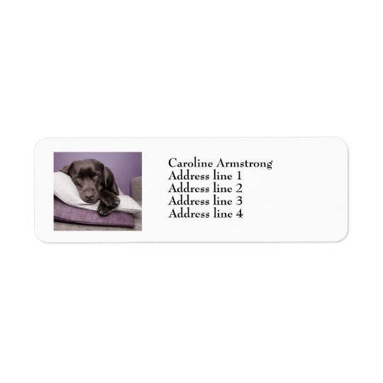 Chocolate labrador dog custom address labels