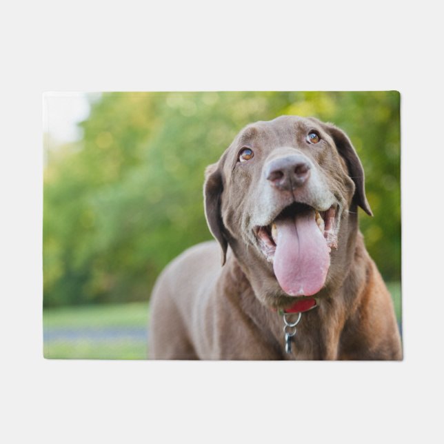 Chocolate Labrador Dog Doormat (Front)