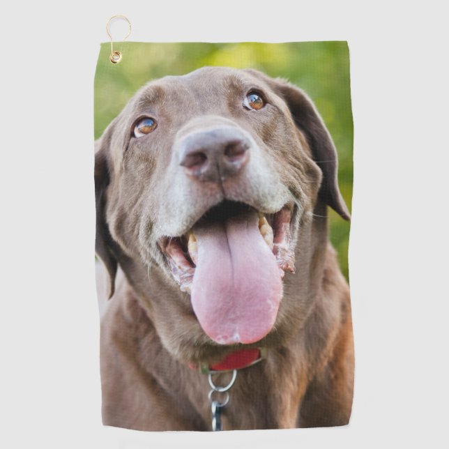 Chocolate Labrador Dog Golf Towel (Front)