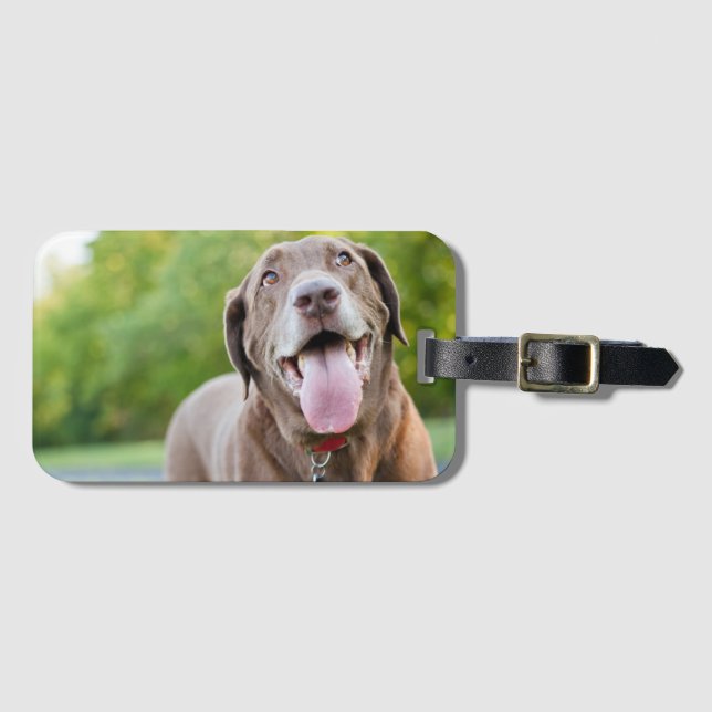 Chocolate Labrador Dog Luggage Tag (Front Horizontal)