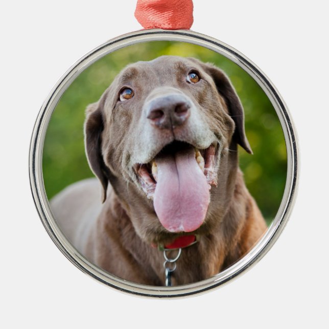 Chocolate Labrador Dog Metal Tree Decoration (Front)
