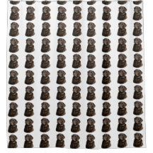 Chocolate Labrador dog pattern
