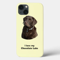 Chocolate Labrador dog photo portrait