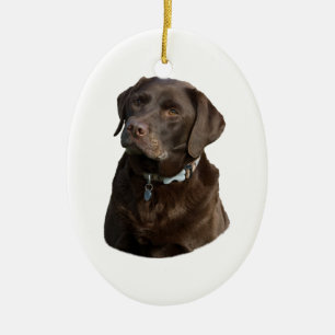 Chocolate Labrador dog photo portrait Ceramic Tree Decoration