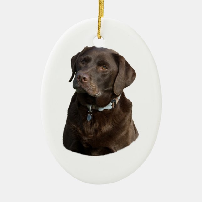 Chocolate Labrador dog photo portrait Ceramic Tree Decoration (Front)