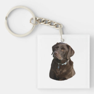 Chocolate Labrador dog photo portrait Key Ring