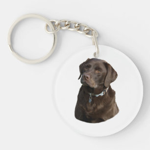 Chocolate Labrador dog photo portrait Key Ring