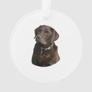Chocolate Labrador dog photo portrait Ornament