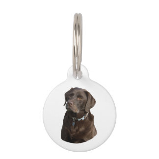 Chocolate Labrador dog photo portrait Pet Tag
