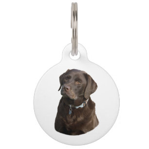 Chocolate Labrador dog photo portrait Pet Tag