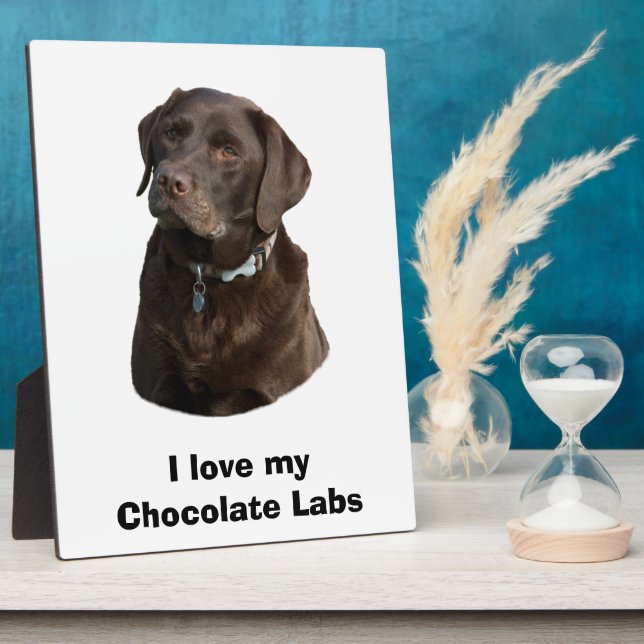 Chocolate Labrador dog photo portrait Plaque (Side)