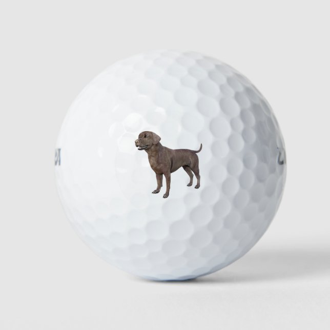 Chocolate Labrador Dog Standing Golf Balls (Front)