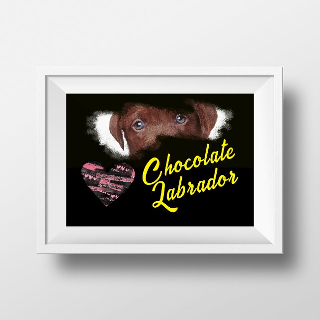 Chocolate Labrador Eyes Solid Colour Poster (Creator Uploaded)