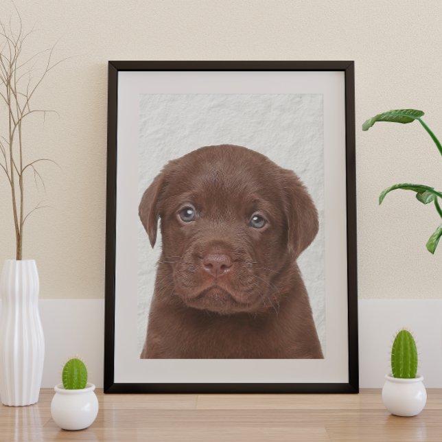 Chocolate Labrador Glossy Poster (Creator Uploaded)