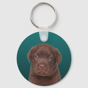 Chocolate Labrador Key Ring