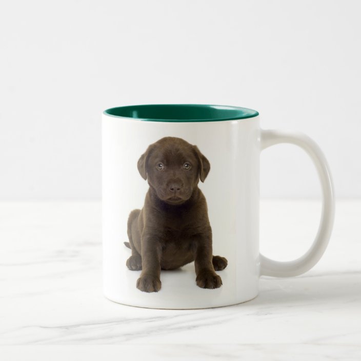 Chocolate Labrador Mug | Zazzle.co.uk