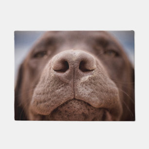 Chocolate Labrador Nose Closeup Doormat