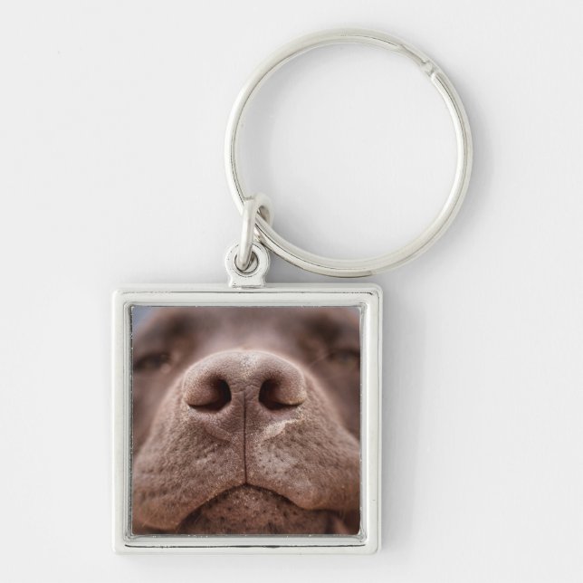 Chocolate Labrador Nose Closeup Key Ring (Front)