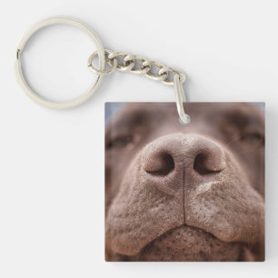 Chocolate Labrador Nose Closeup Key Ring