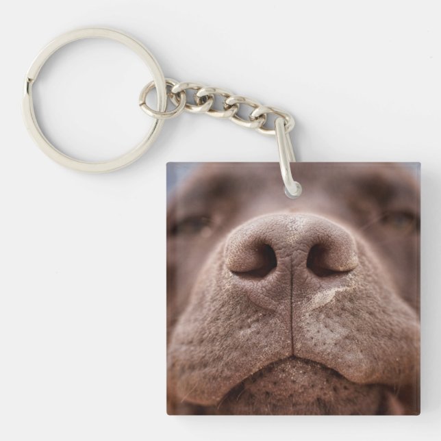 Chocolate Labrador Nose Closeup Key Ring (Front)