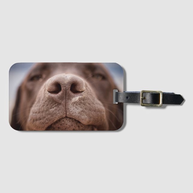 Chocolate Labrador Nose Closeup Luggage Tag (Front Horizontal)