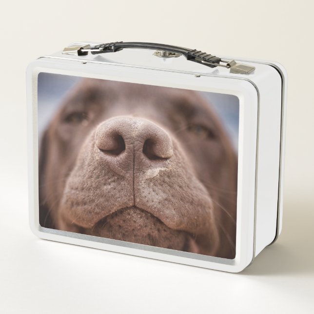 Chocolate Labrador Nose Closeup Metal Lunch Box (Back)