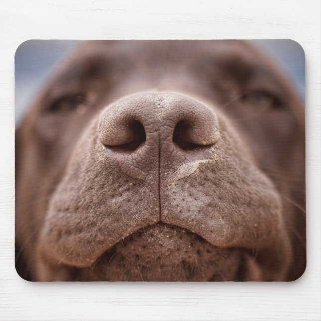 Chocolate Labrador Nose Closeup Mouse Mat (Front)