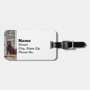Chocolate Labrador on Porch Luggage Tag