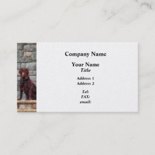 Chocolate Labrador on Porch - Platinum Finish Business Card