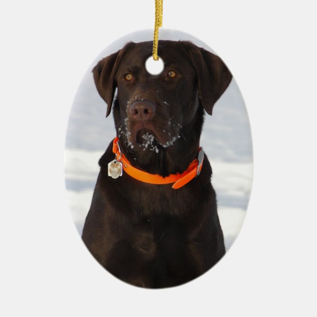 Chocolate Labrador Ornament (Front)