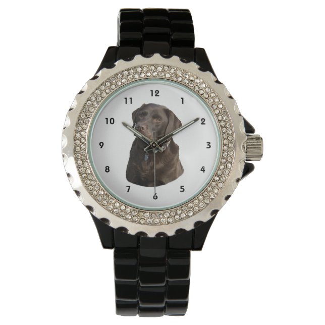 Chocolate Labrador photo portrait Watch (Front)