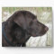 Chocolate Labrador Profile Plaque
